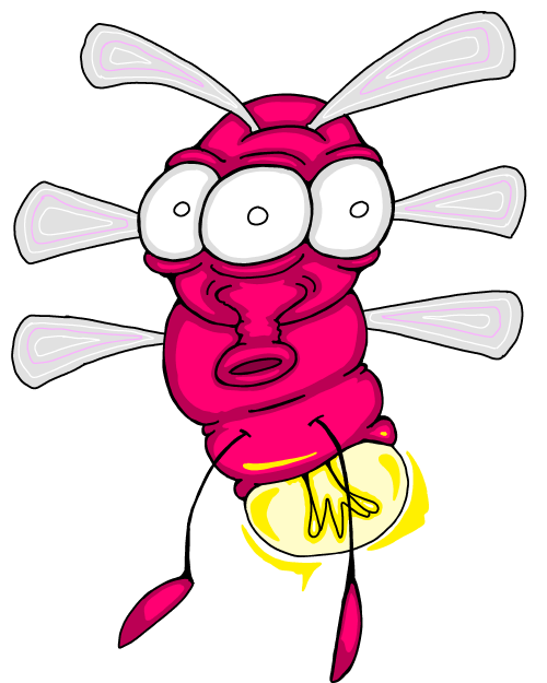 A field image of Chitterfly.